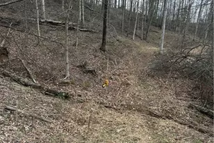 44800 Jim Stimpert Rd, Lewisville, OH 43754 - Photo 41