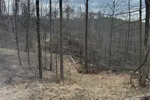 44800 Jim Stimpert Rd, Lewisville, OH 43754 - Photo 39