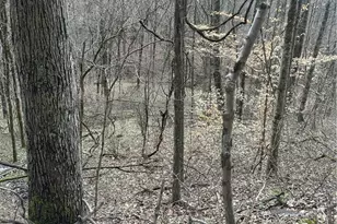 44800 Jim Stimpert Rd, Lewisville, OH 43754 - Photo 25