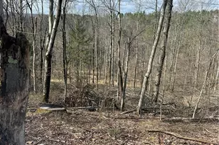 44800 Jim Stimpert Rd, Lewisville, OH 43754 - Photo 35