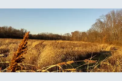 Lambert, Roseville, OH 43777 - Photo 7