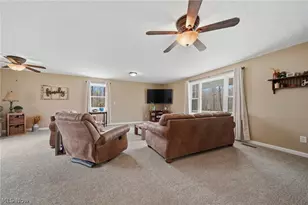 9934 State Route 700, Mantua, OH 44255 - Photo 11