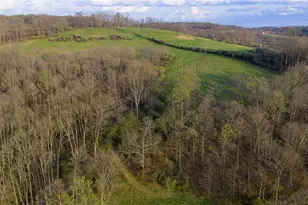 343 County Road 343, Warsaw, OH 43844 - Photo 45