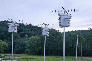 343 County Road 343, Warsaw, OH 43844 - Photo 9