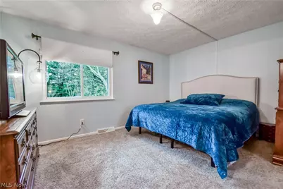 3872 Green Street, Perry, OH 44081 - Photo 15