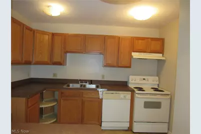 1609 E 66th Street, Loveland, OH 44103 - Photo 7