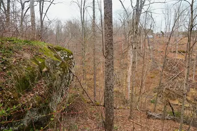 Brimstone Road, Coolville, OH 45723 - Photo 5