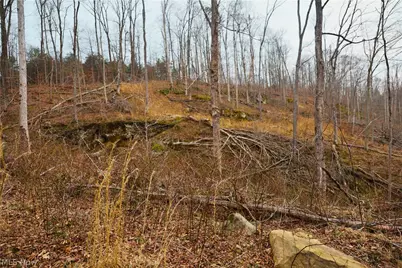 Brimstone Road, Coolville, OH 45723 - Photo 27