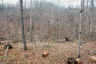 Brimstone Road, Coolville, OH 45723 - Photo 11