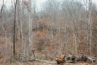 Brimstone Road, Coolville, OH 45723 - Photo 7