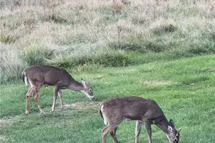 64446 Erie Rd, Salesville, OH 43778 - Photo 31