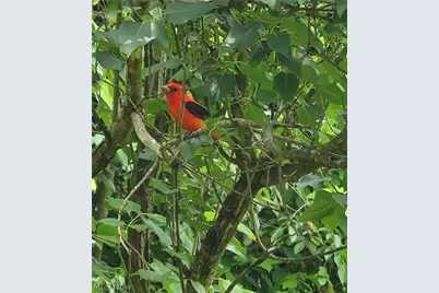 64446 Erie Road, Salesville, OH 43778 - Photo 29