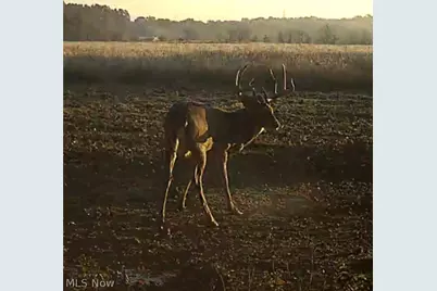 Flagdale, Junction City, OH 43748 - Photo 15