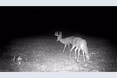 Flagdale, Junction City, OH 43748 - Photo 13