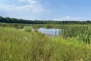 Flagdale, Junction City, OH 43748 - Photo 1