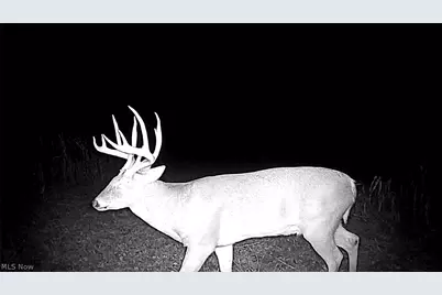 Flagdale, Junction City, OH 43748 - Photo 17