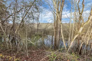 118 Conner Ave, Senecaville, OH 43780 - Photo 37