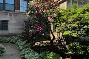 11430 Cedar Glen Pkwy, Loveland, OH 44106 - Photo 37