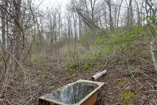 63710 Batesville Rd, Quaker City, OH 43773 - Photo 39