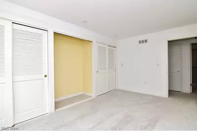 5200 Three Village Drive #LLC, Lyndhurst, OH 44124 - Photo 29