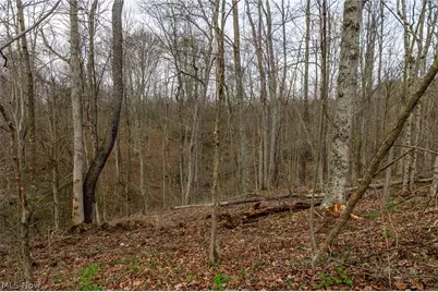 643 S Townsend Road SW, Malta, OH 43758 - Photo 11