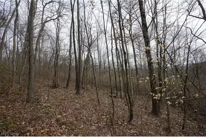 McKee Hill Rd, Frazeysburg, OH 43822 - Photo 15