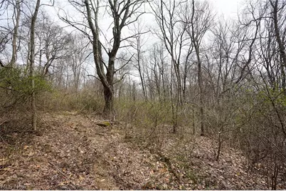 McKee Hill Rd, Frazeysburg, OH 43822 - Photo 23