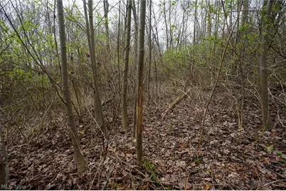 McKee Hill Rd, Frazeysburg, OH 43822 - Photo 27