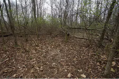 McKee Hill Rd, Frazeysburg, OH 43822 - Photo 35