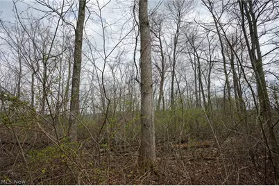McKee Hill Rd, Frazeysburg, OH 43822 - Photo 35