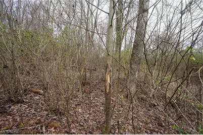 McKee Hill Rd, Frazeysburg, OH 43822 - Photo 25