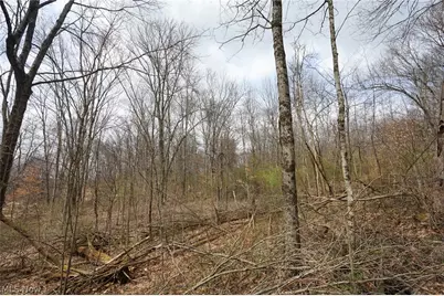 McKee Hill Rd, Frazeysburg, OH 43822 - Photo 37