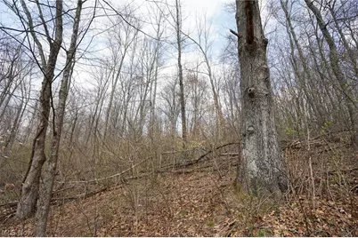 McKee Hill Rd, Frazeysburg, OH 43822 - Photo 43