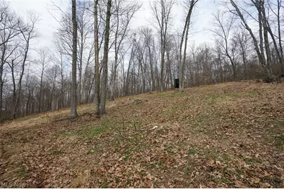 McKee Hill Rd, Frazeysburg, OH 43822 - Photo 19