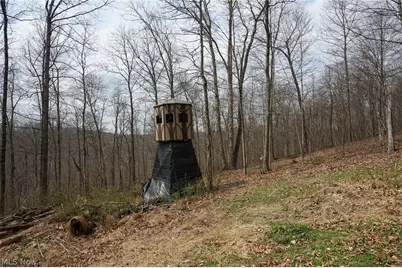 McKee Hill Rd, Frazeysburg, OH 43822 - Photo 19