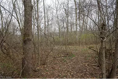 McKee Hill Rd, Frazeysburg, OH 43822 - Photo 33