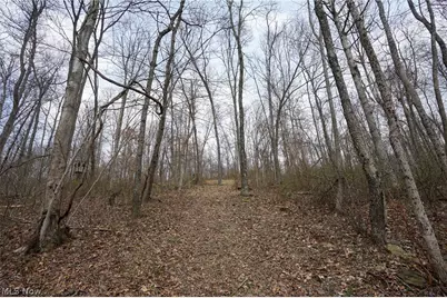 McKee Hill Rd, Frazeysburg, OH 43822 - Photo 15