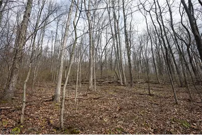 McKee Hill Rd, Frazeysburg, OH 43822 - Photo 9