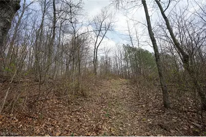 McKee Hill Rd, Frazeysburg, OH 43822 - Photo 41