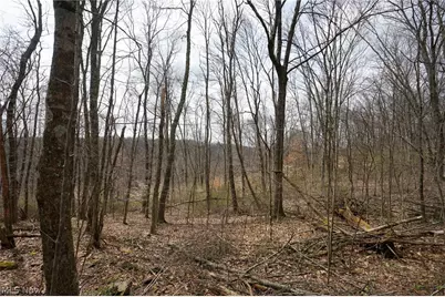 McKee Hill Rd, Frazeysburg, OH 43822 - Photo 37