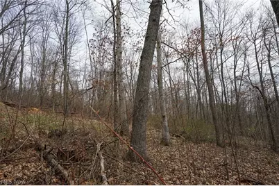 McKee Hill Rd, Frazeysburg, OH 43822 - Photo 17