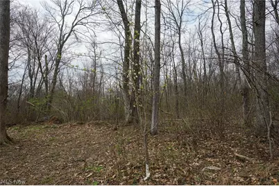 McKee Hill Rd, Frazeysburg, OH 43822 - Photo 29