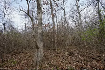 McKee Hill Rd, Frazeysburg, OH 43822 - Photo 11