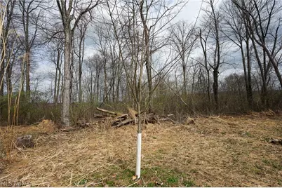 McKee Hill Rd, Frazeysburg, OH 43822 - Photo 31