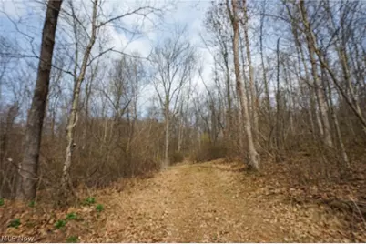 McKee Hill Rd, Frazeysburg, OH 43822 - Photo 7