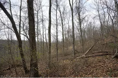 McKee Hill Rd, Frazeysburg, OH 43822 - Photo 39