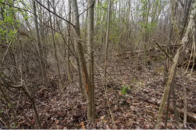 McKee Hill Rd, Frazeysburg, OH 43822 - Photo 25