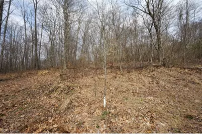 McKee Hill Rd, Frazeysburg, OH 43822 - Photo 21