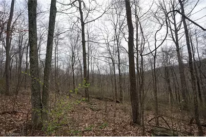 McKee Hill Rd, Frazeysburg, OH 43822 - Photo 17