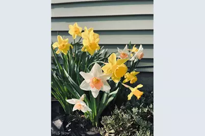 7063 Lake Road, Madison, OH 44057 - Photo 3